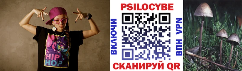 Псилоцибиновые грибы Cubensis Новомичуринск